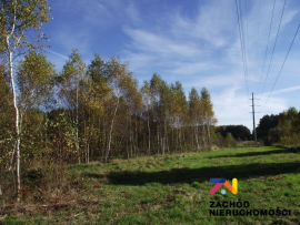 Działka siedliskowa 3648m2 - Radomia-Orzewo